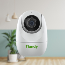 CAMERA WIFI TIANDY H333N 2MP