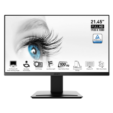 Màn hình MSI Pro MP223 (22-inch/FHD/VA/100Hz/5ms/HDMI+VGA)