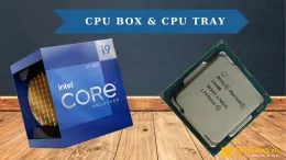 CPU Tray là gì? Nên mua CPU Tray hay CPU Box công ty