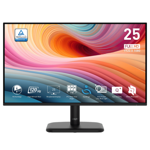 Màn Hình MSI PRO MP251L E2 (24.5inch/ IPS/ FHD/ 120Hz/ 1ms/ HDMI+VGA)