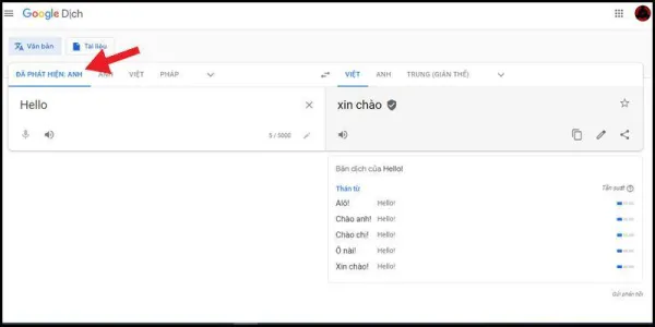 Cách tải và sử dụng Google Dịch cho PC