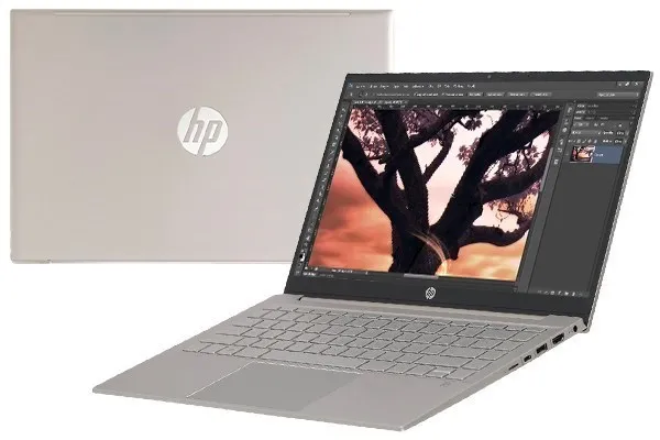 Laptop HP Pavilion 14 dv0516TU i3 (46L88PA)