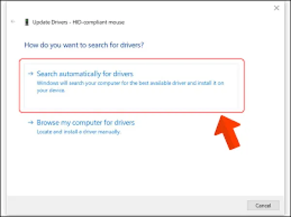 Search automatically for updated driver software và tự động tải driver từ Internet.