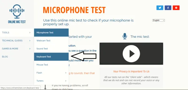 Online Mic Test 