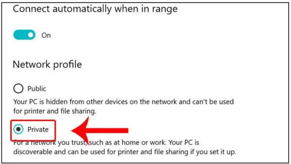  Trong phần Network Profile, chọn mục Private