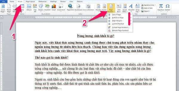 Đánh số trang tự động trong Word 2007, 2010 và 2019