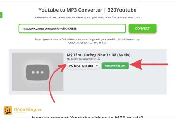 Bấm vào nút "Convert video" để bắt đầu quá trình chuyển đổi