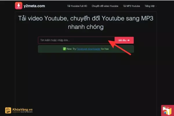 Dán đường dẫn URL video cần chuyển đổi vào ô trống trên trang web