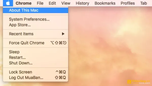 Nhấp vào biểu tượng Apple trên thanh đa nhiệm và chọn "About This Mac" từ menu xuất hiện