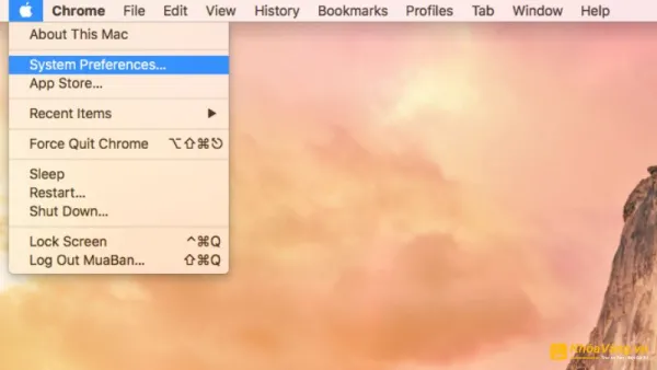 Nhấp vào biểu tượng Apple trên thanh đa nhiệm và chọn "System Preferences" từ menu xuất hiện