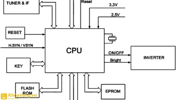 Khối điều khiển trong CPU điều khiển các khối và tần số xung
