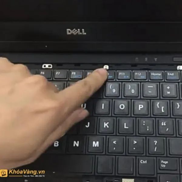 Cập nhật 150+ về bàn phím trên laptop không gõ được mới nhất