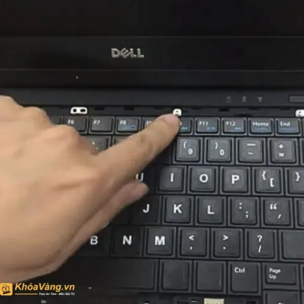 bàn phím trên laptop Dell không gõ được