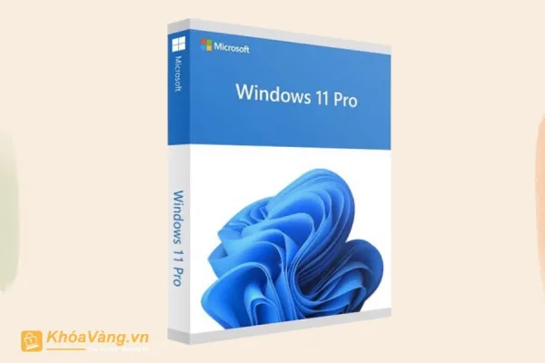 Windows Pro 11 x64 Eng Intl 1pk DSP OEI DVD (Full VAT)