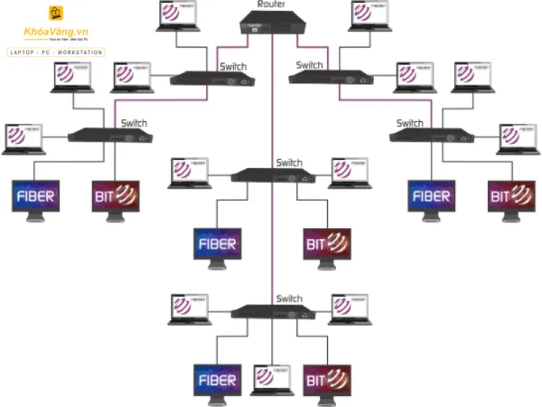 Những mô hình mạng LAN doanh nghiệp phổ biến hiện nay
