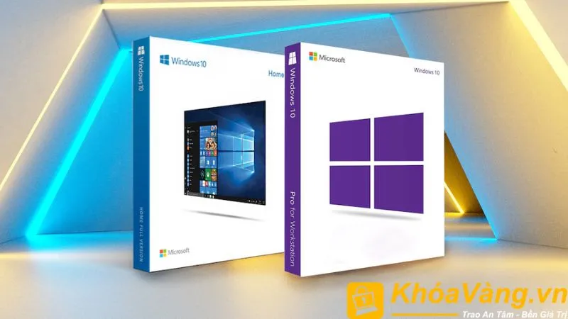 Hệ điều hành Windows 10 Pro 64bit English